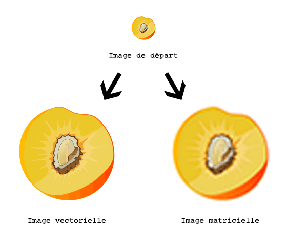Explications des différences entre une image matricielle et une image vectorielle. Source image : www.baches-publicitaires.com